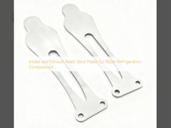 صفحات سوپاپ نی (Reed Valve) ورودی و خروجی برای کمپرسورهای تبرید بیتزر