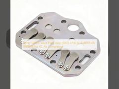 صفحه سوپاپ بیتزر S4BCF (58.0)-LP(6.5)، 304069-08، 818601B برای کمپرسور هوای AC