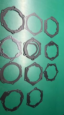 OEM ODM Automotive Door Gasket برای گواهی ISO BYD E5